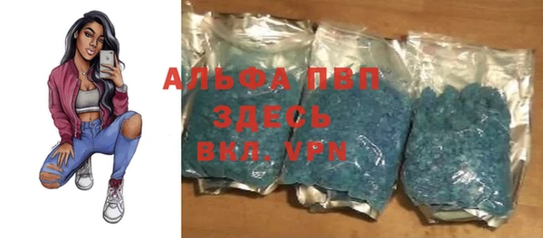 СК Аркадак