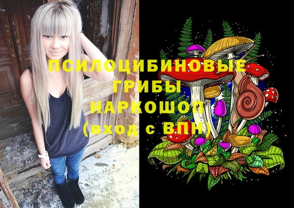 2c-b Алзамай