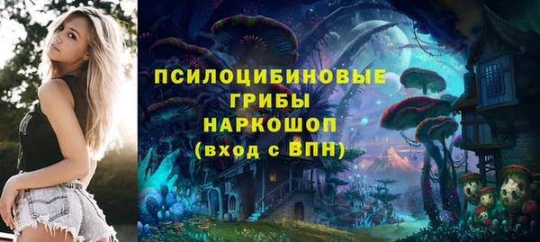 эйфоретик Алексеевка