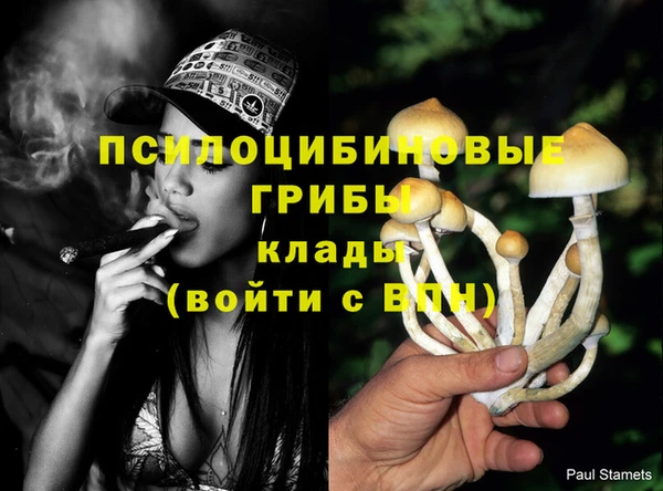 эйфоретик Алексеевка