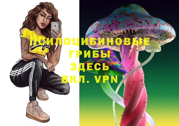 2c-b Алзамай
