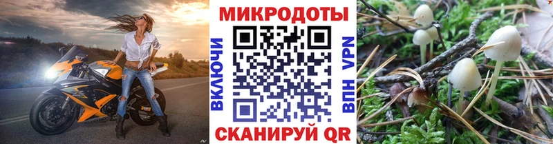 где найти   Лаишево  Галлюциногенные грибы GOLDEN TEACHER 